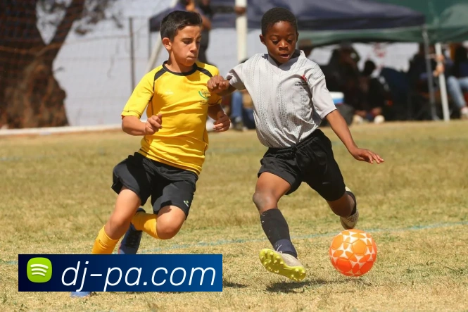 PA娱乐官网APP 体育赛事宣传图